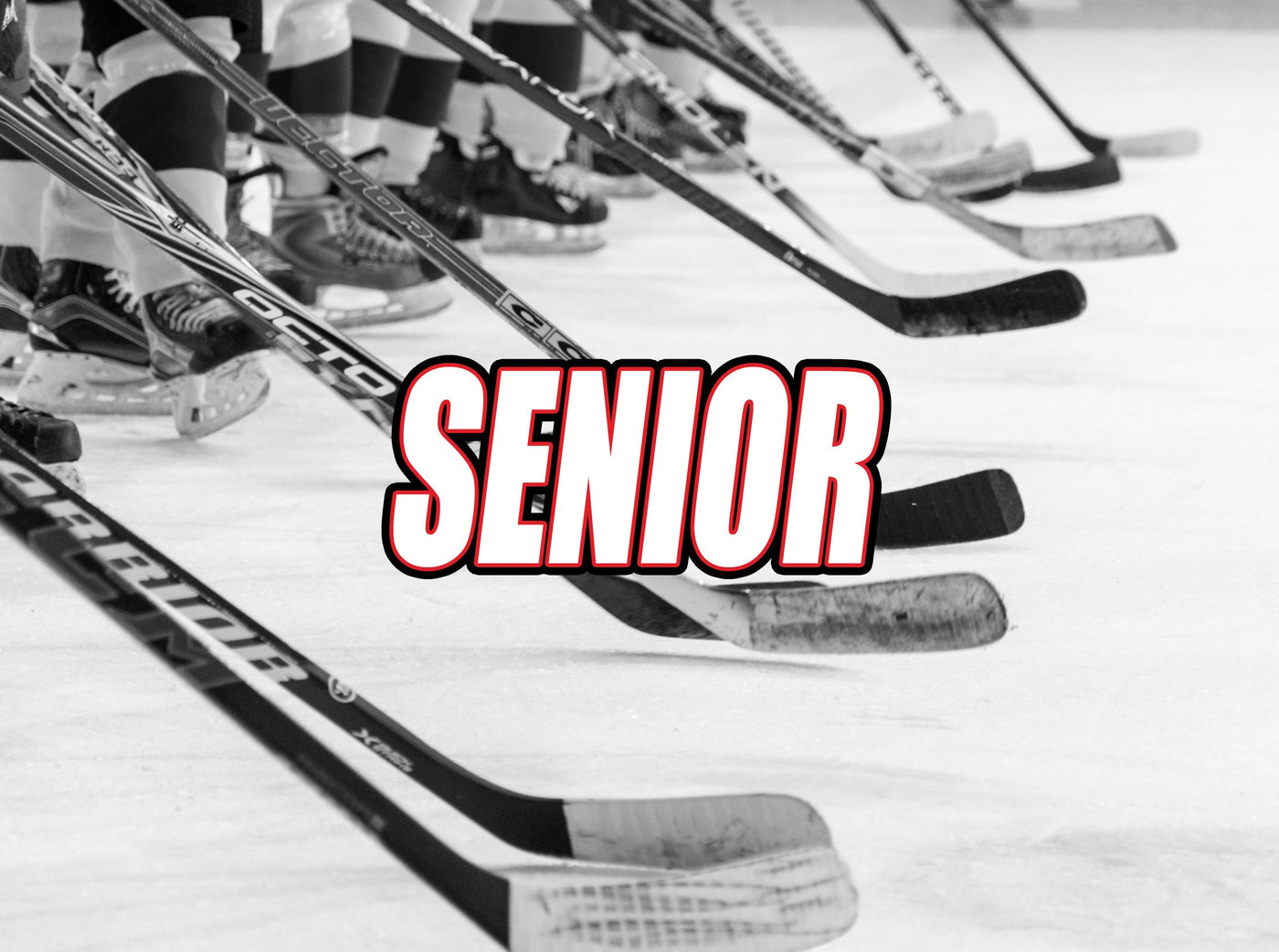 Hockey Bâtons Senior