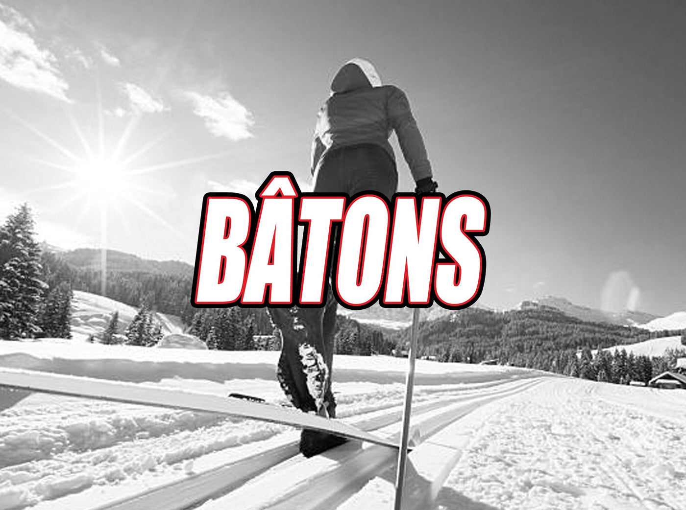 Ski de Fond Bâtons